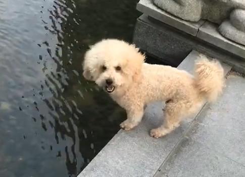 港澳新闻 第40页